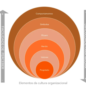 cebola-dos-elementos-da-cultura-organizacional