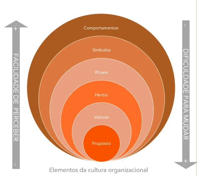 cebola-dos-elementos-da-cultura-organizacional